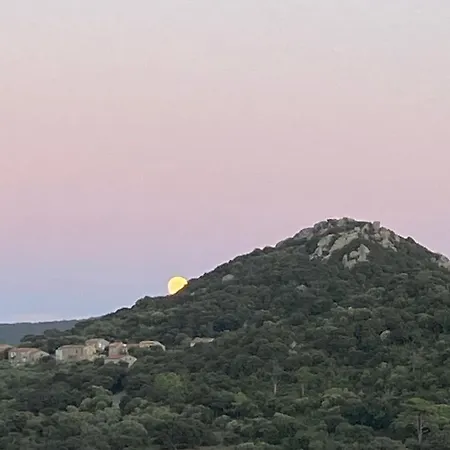 En A Vue Panoramique Sur Porto-vecchio !